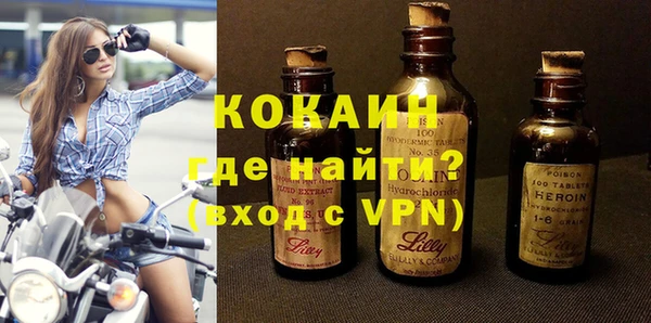 a pvp Бородино