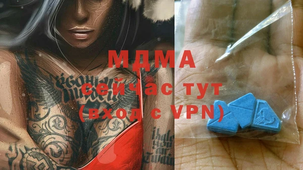 a pvp Бородино