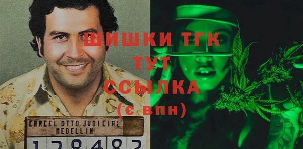 a pvp Бородино