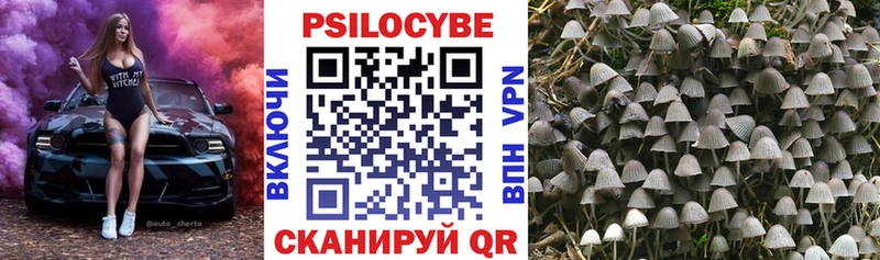 Псилоцибиновые грибы MAGIC MUSHROOMS  как найти закладки  mega ТОР  Новосиль 